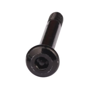 Security Socket Head Cap Screw