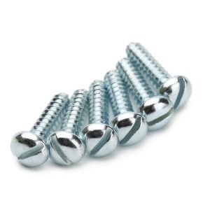 Slotted Pan Head Screw | Shi Shi Tong