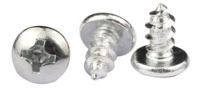 Phillips Head Self Tapping Screws Supplier | Shi Shi Tong