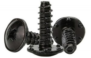 black phillips head screws