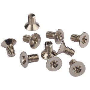 flat head security screw