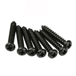 Notebook screw